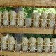 Ленты-мисочки одинарные