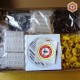 Джентерский сот комплект 011+DVD